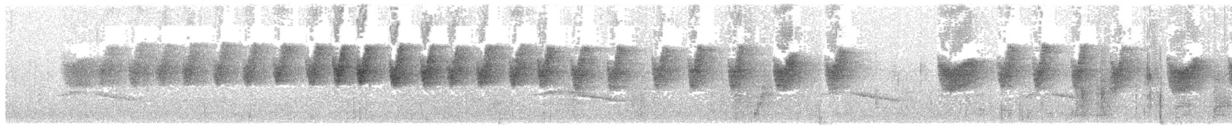 エンビシキチョウ（frontalis グループ） - ML203896521