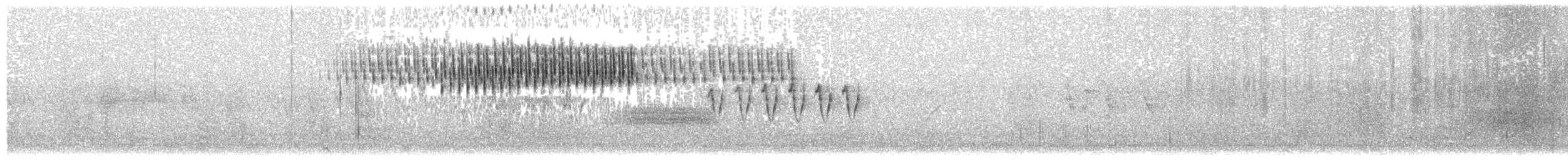 矛斑蝗鶯 - ML203896701