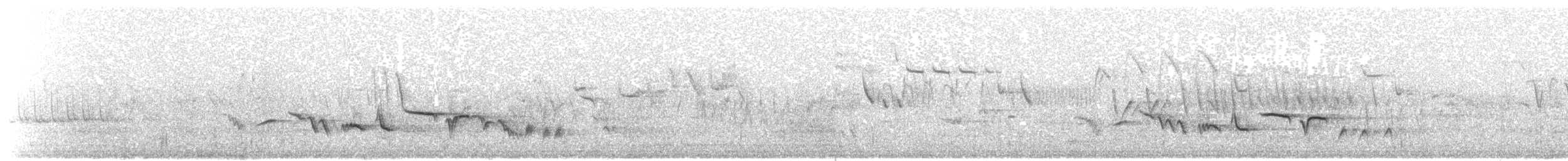 blåtrost (solitarius/longirostris) - ML203896821