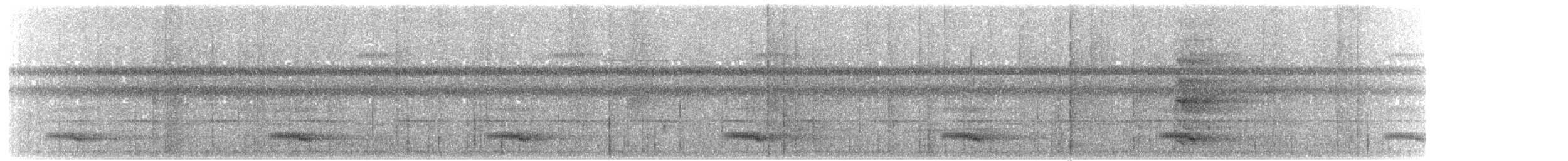 Toucan vitellin (culminatus/pintoi) - ML203896991