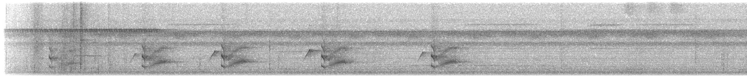 blåkronemanakin (coronata gr.) - ML203897061