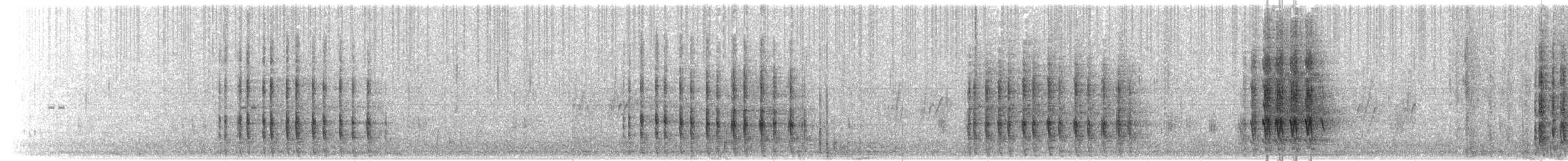 ringisfugl (torquata/stictipennis) - ML203897411