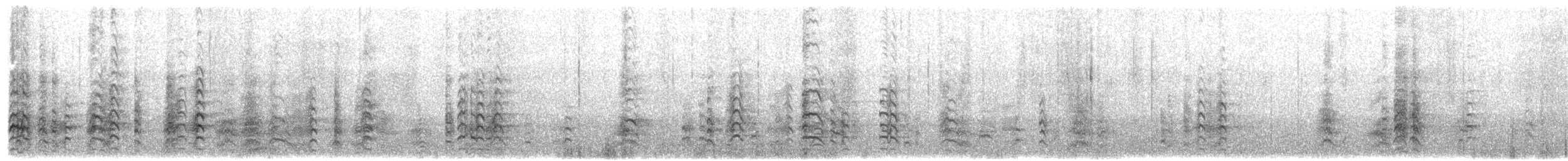 Rotschwanz-Tropikvogel - ML203897701