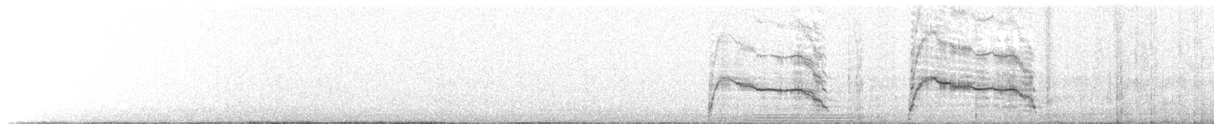 Бородач (barbatus) - ML203897841