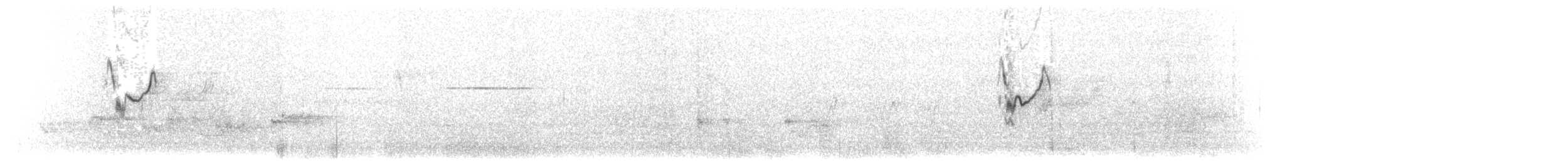 konipas bílý (ssp. lugens) - ML203897921