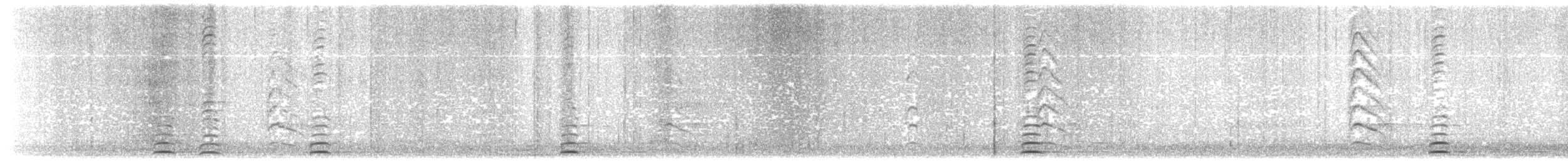 黃嘴天鵝 - ML203898141