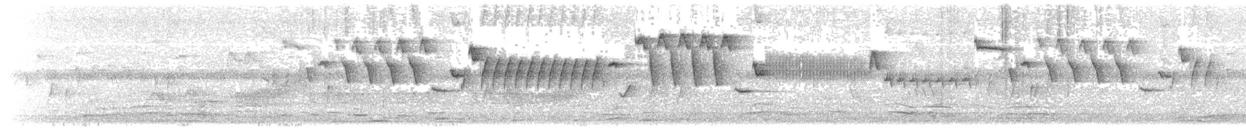 gjerdesmett (troglodytes gr.) - ML203898381