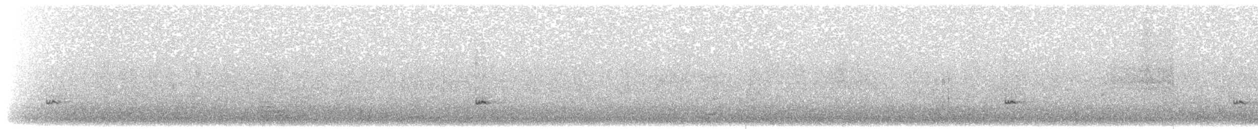 Sarcelle d'hiver (crecca) - ML203898471