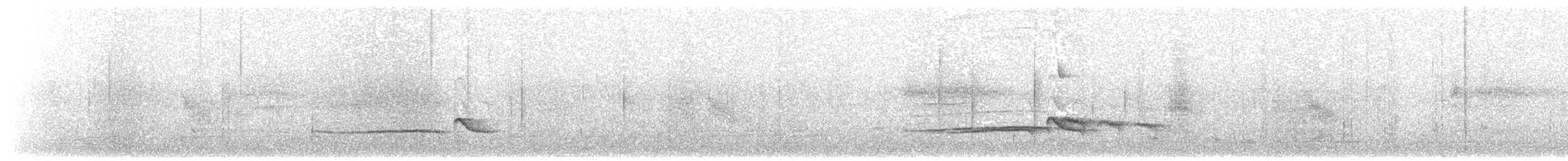 Red-tailed Laughingthrush - ML203899031