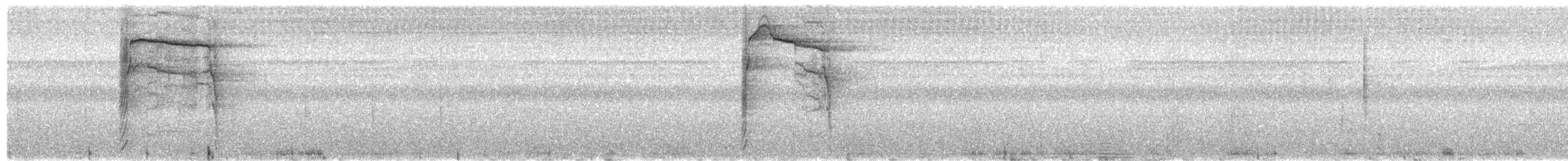 Schuppenhalskuckuck - ML203899231