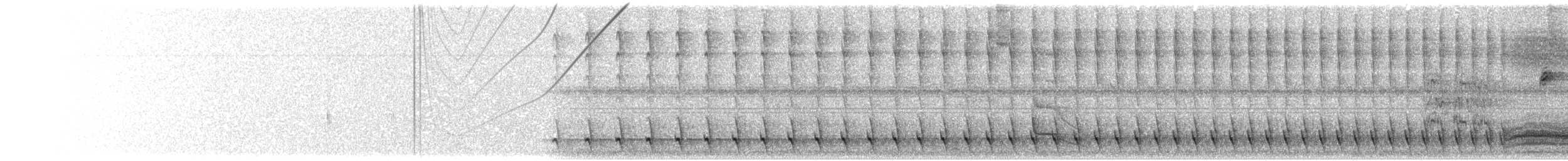 Weißbrust-Ameisenwürger - ML203899481