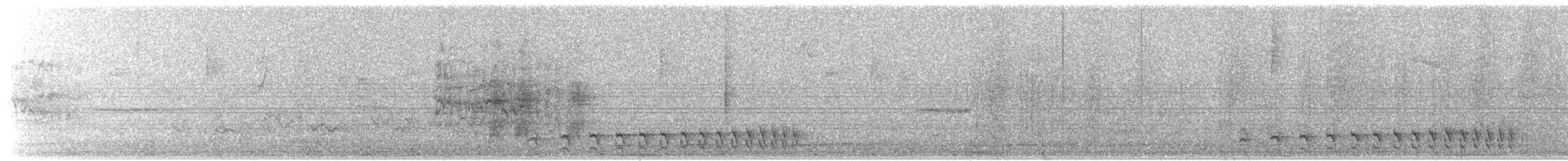 Planalto Gri Karıncaavcısı - ML203899491