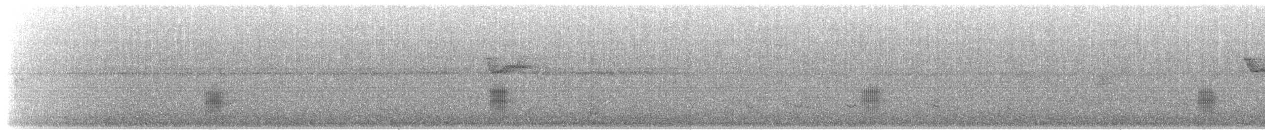 Black-tailed Tityra (Eastern) - ML203899761