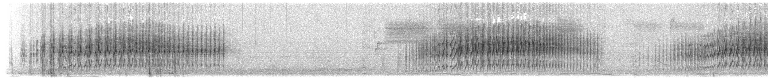 Certhiaxis sp. (du Tocantins, forme non décrite) - ML203899841