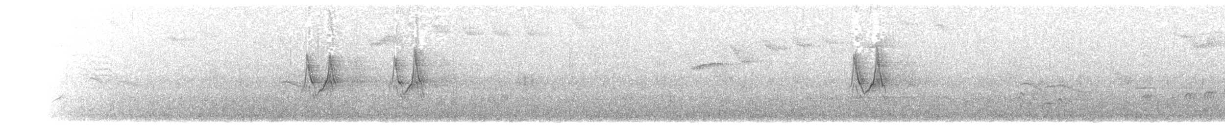 White Wagtail (Chinese) - ML203899951