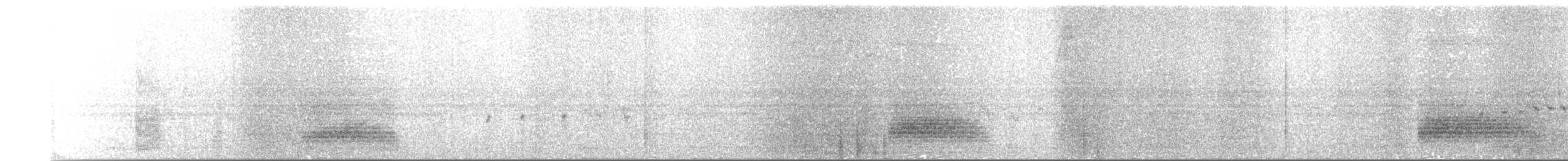 hærfugl (epops gr.) - ML203900291