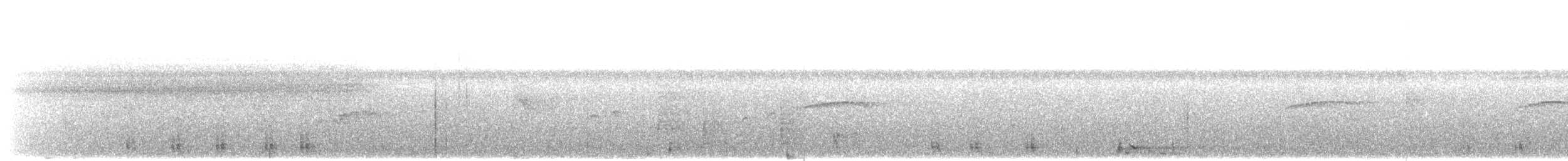 ヒロハシハチクイモドキ（platyrhynchum グループ） - ML203900461