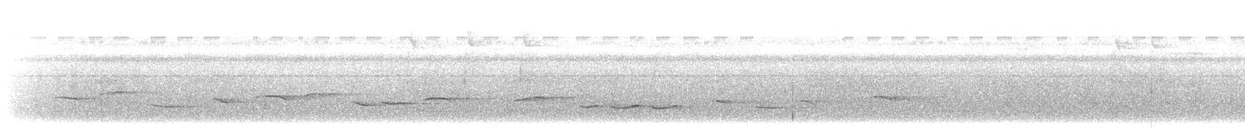 Yellow-backed Oriole - ML203900501