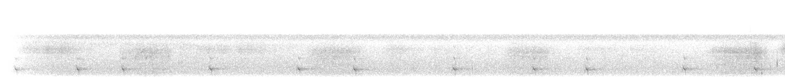 White-tailed Trogon - ML203900551