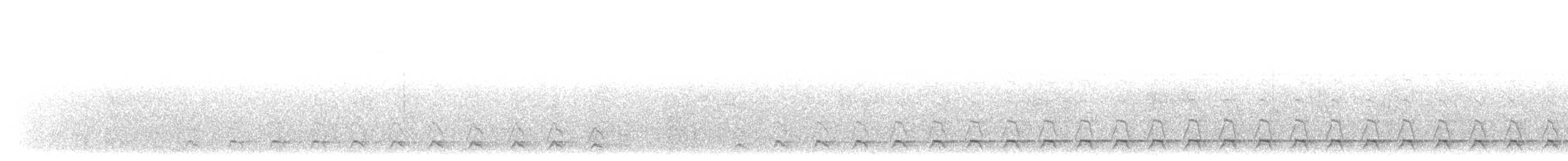 Белохвостый трогон - ML203900561