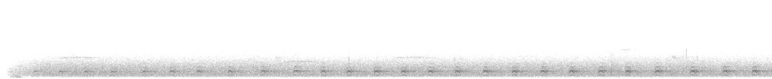 Аспиднохвостый трогон (massena/hoffmanni) - ML203900611