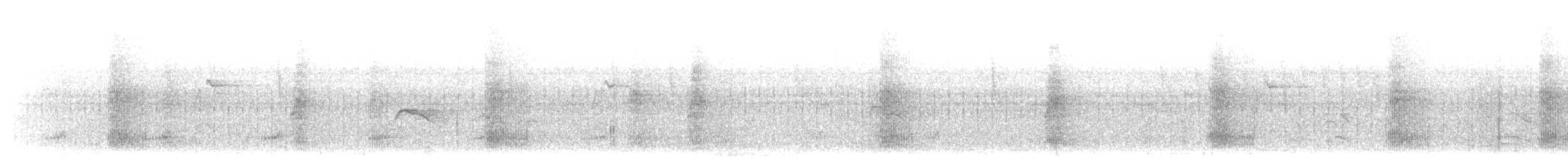 Белоголовый крапивник - ML203900791