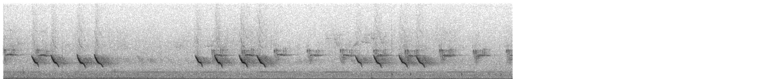 Allotrie siamoise (groupe aeralatus) - ML203901521