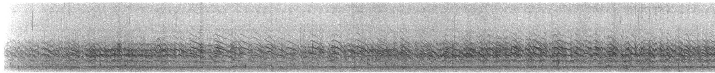 Whiskered Auklet - ML203901991