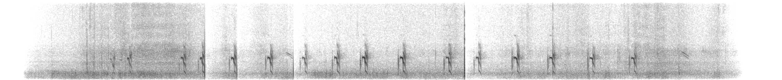 Chorlitejo Semipalmeado - ML203902071