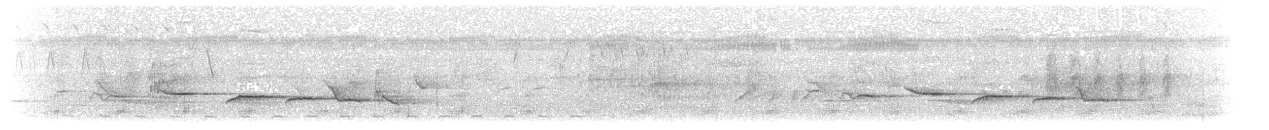 Синяя гуирака - ML203902701