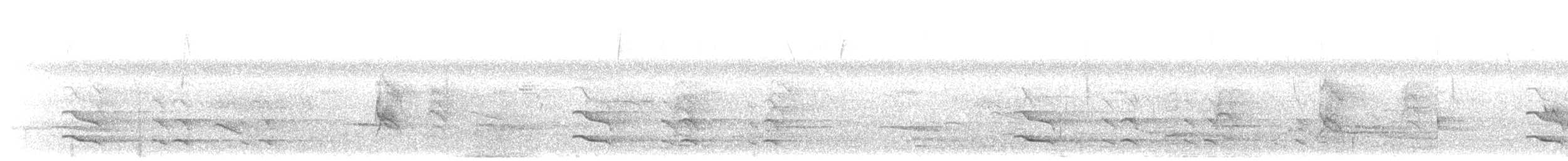tukan žlutohrdlý (ssp. swainsonii) - ML203902711