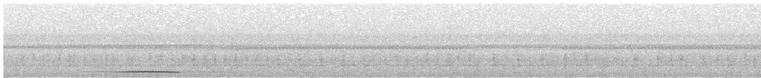 Banggai Scops-Owl - ML203903211