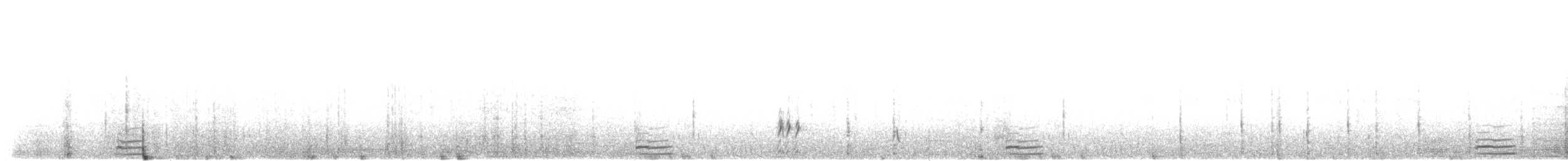 Хондон ангир - ML203905001