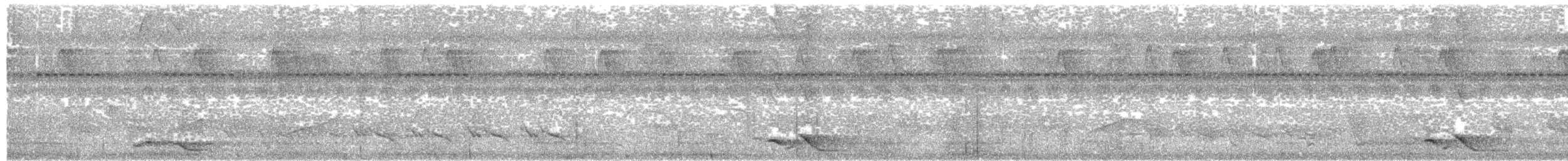svartnakkepirol (frontalis gr.) - ML203905291