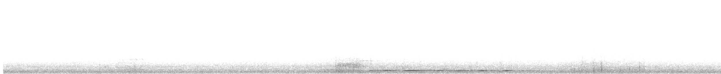 Суланская длиннохвостая горлица - ML203905321