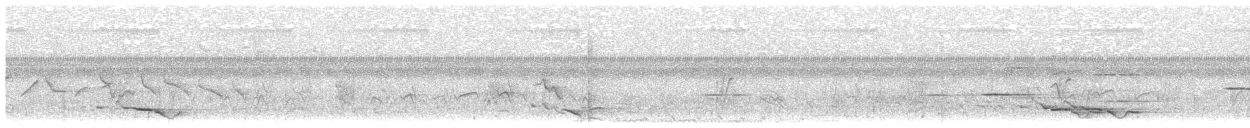 svartnakkepirol (frontalis gr.) - ML203905421