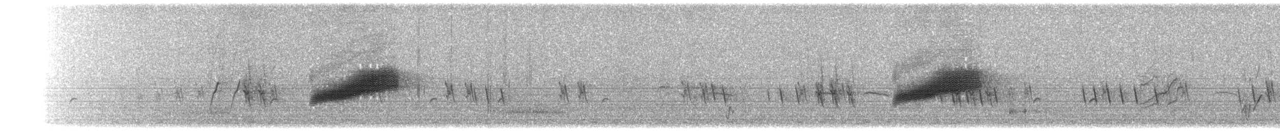 Txorru arrunta - ML203905611