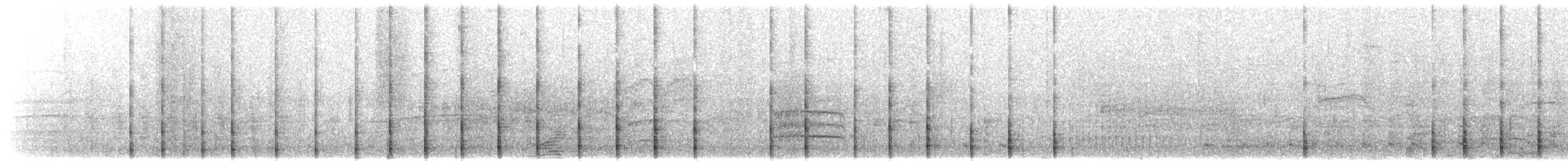 rødfotsule (rubripes) - ML203906381