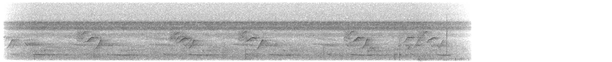 Glanzfleckdrongo (atrocaeruleus) - ML203907121