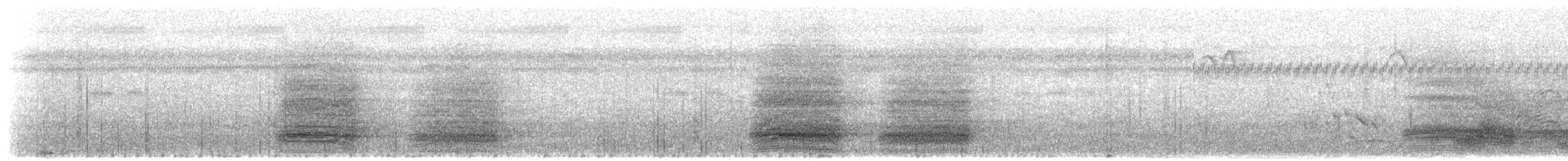 Moluccan Eclectus - ML203907131