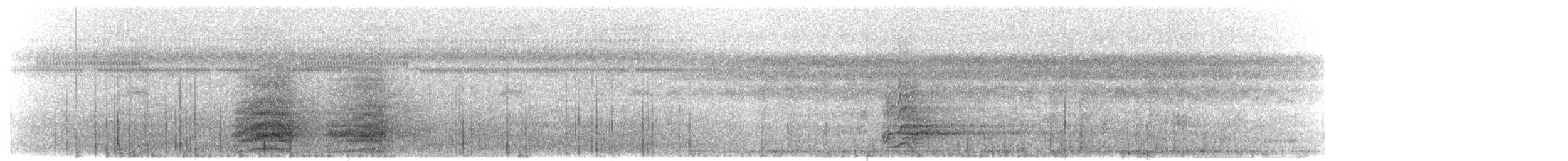 Moluccan Eclectus - ML203907141