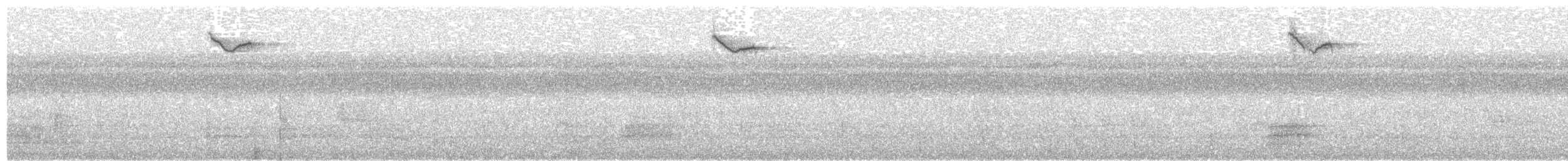 Dicée des Célèbes (groupe celebicum) - ML203907211