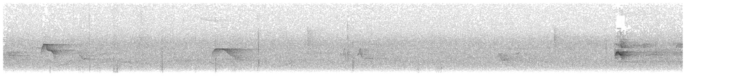 Caribbean Elaenia (Caribbean) - ML203907391