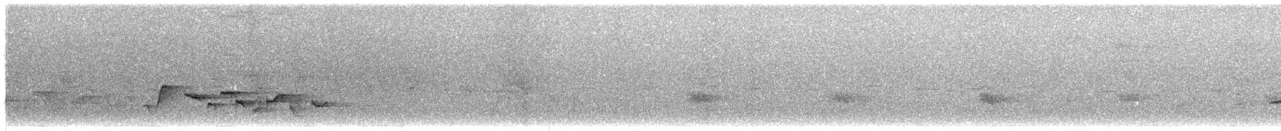Large Lifou White-eye - ML203908251