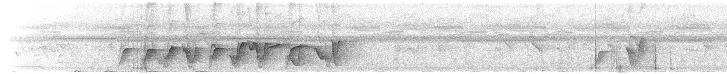 fijiplystrer (vitiensis gr.) - ML203908521