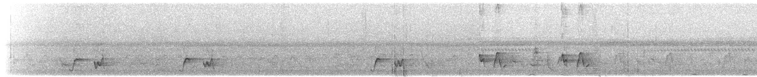 Northern Wattled-Honeyeater - ML203908821