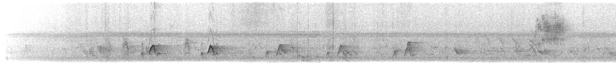 Northern Wattled-Honeyeater - ML203908851