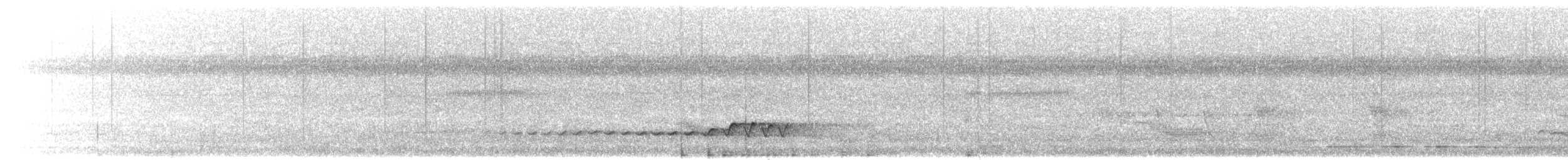 Siffleur terne (groupe griseonota) - ML203908971