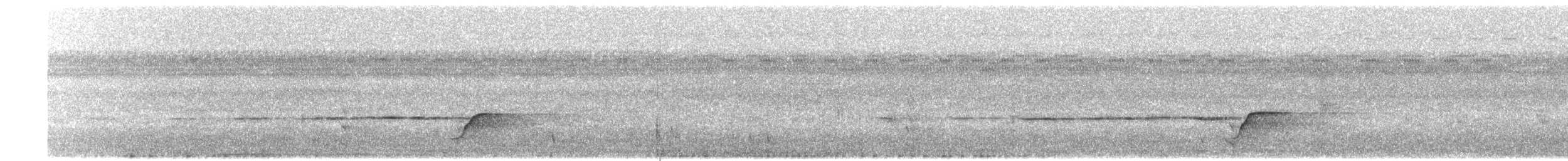 Siffleur terne (groupe griseonota) - ML203908981