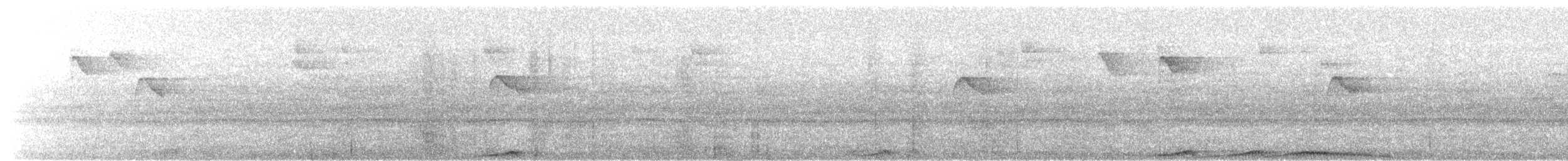 holub kovový (ssp. paulina) - ML203909151